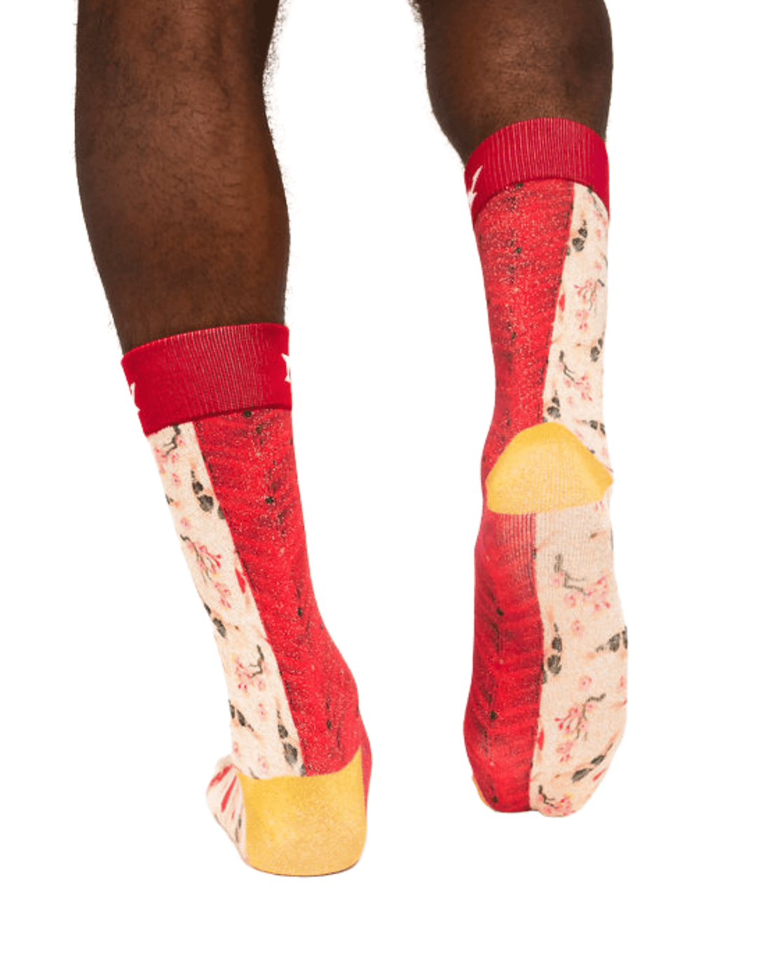 The McCray-Koi Art Sock