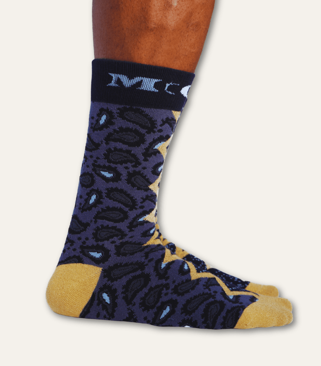The Paisley Unbound Art Sock