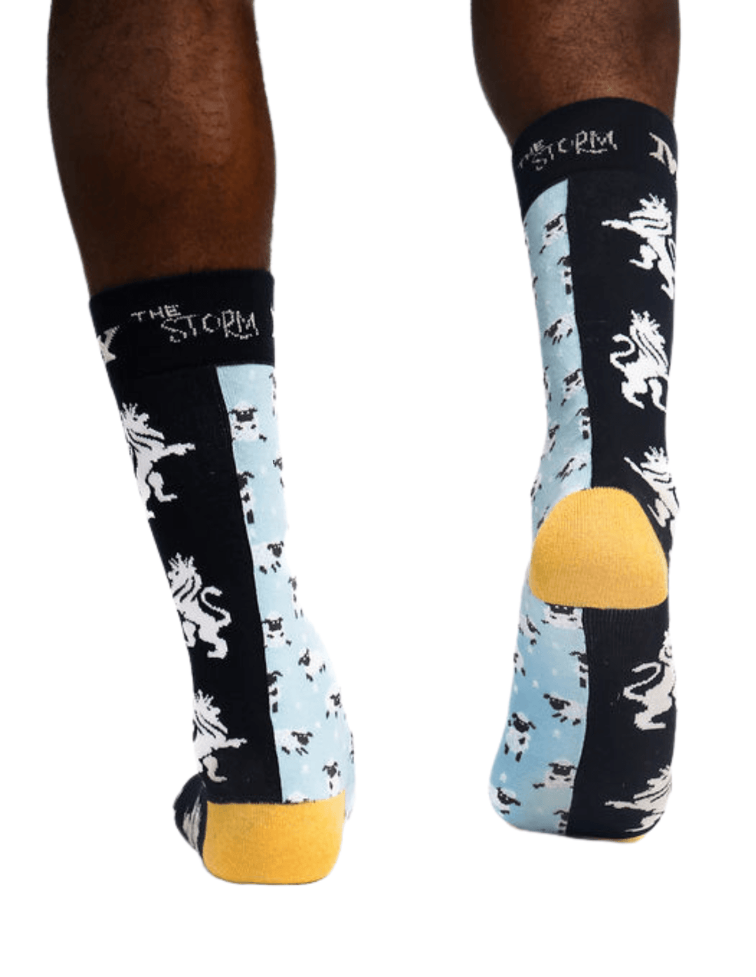 Rory "The Storm" From Lambs to Lions Art Sock